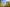 Humblewood is Coming to Legend in the Mist!