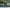 Good News Friday: New Humblewood Products Available Now, Back from Big Bad Con, Happy Halloween!