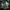 A prototype photo of the back of a Arkton figurine.