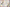 A GIF play through of the inner pages of Floral Dragon kinds.
