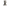 A 3d render of a pigeon in robes with an open book.