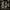 A 3D miniature render of 5 fantasy monsters on a dark background and the text 