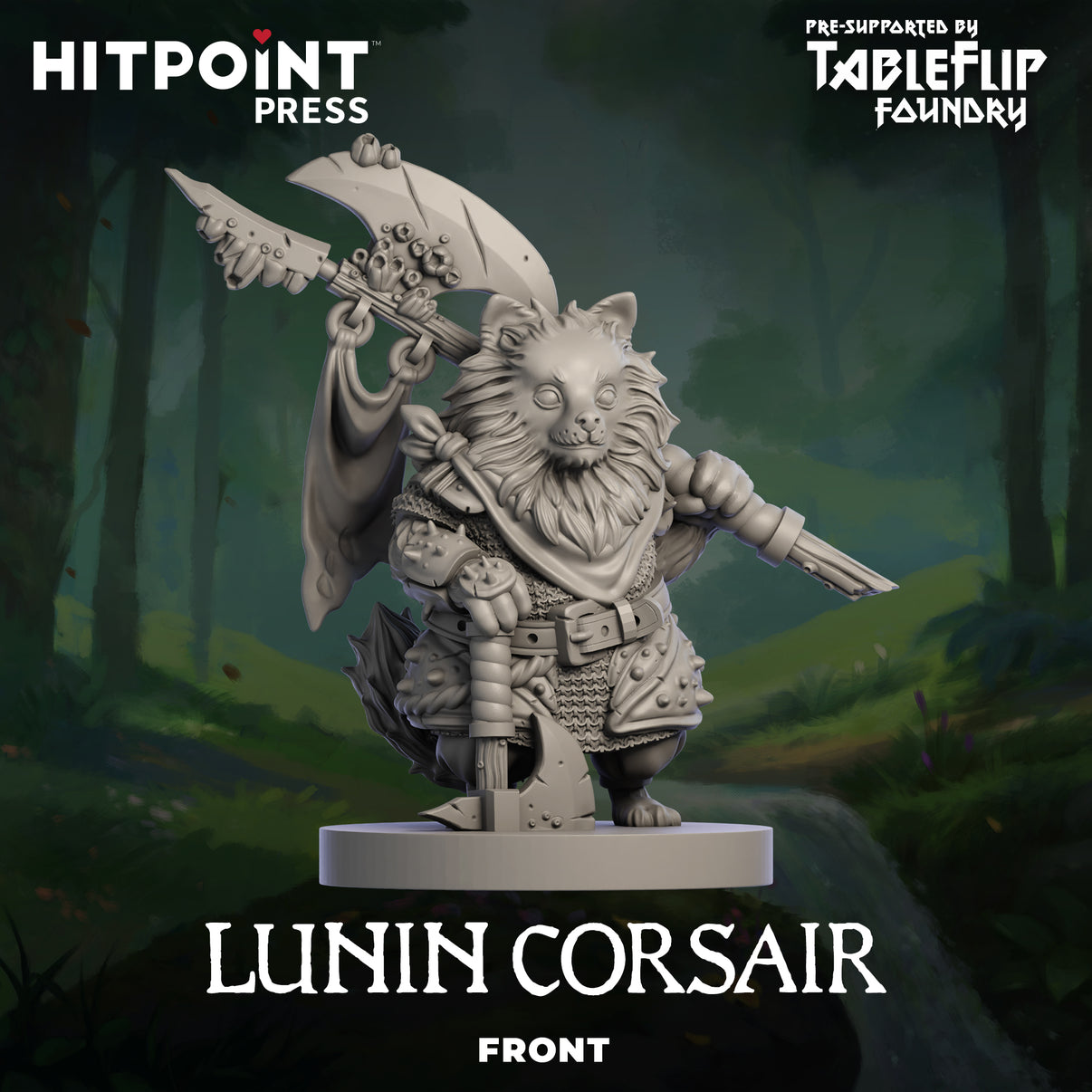 A prototype photo of the front of a Lunin Corsair figurine.