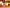 Wands Cards